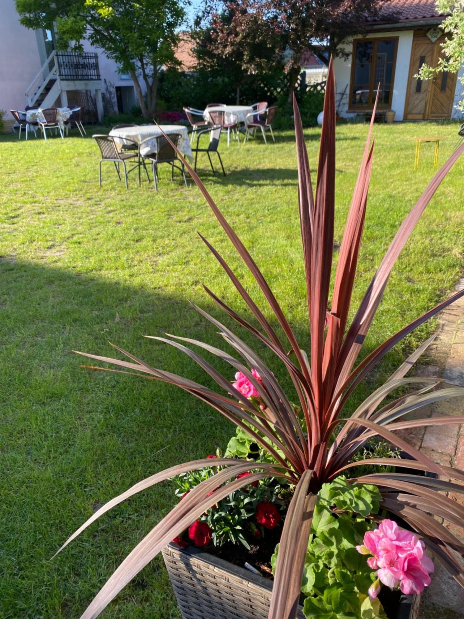 Guest House Wiejska Sielanka Brody  Bagian luar foto