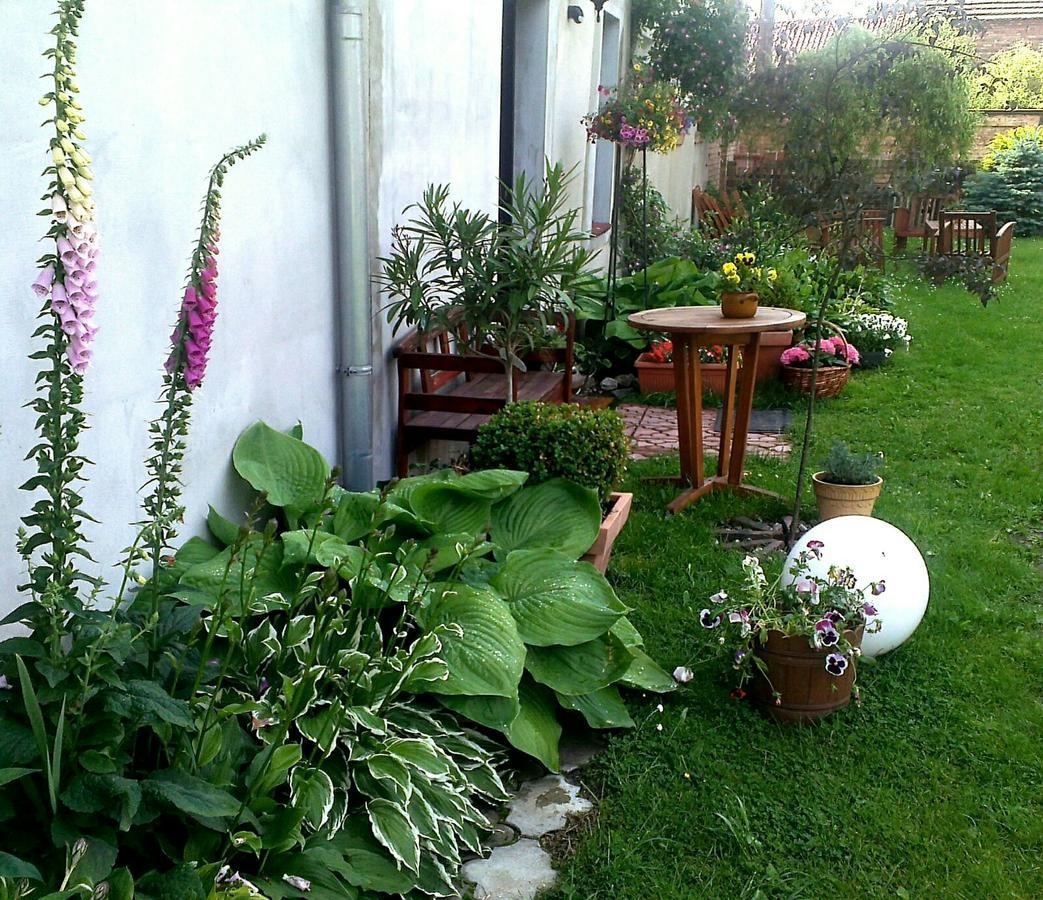 Guest House Wiejska Sielanka Brody  Bagian luar foto